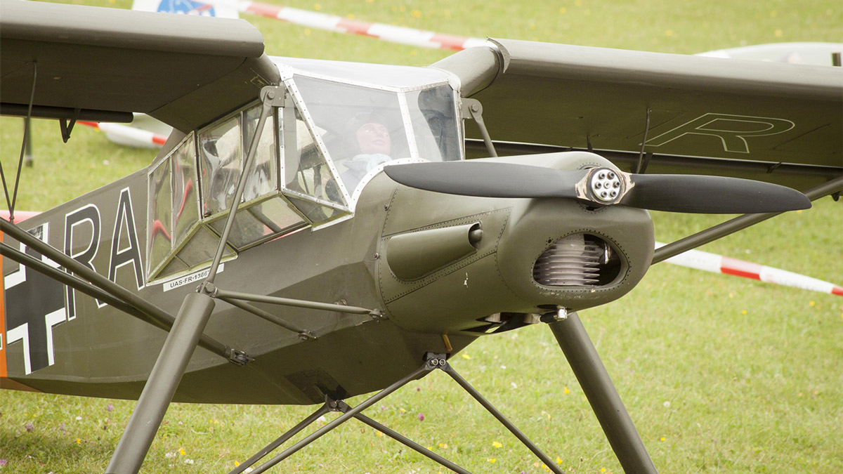 4962-Storch